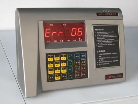 電子汽車(chē)衡(地